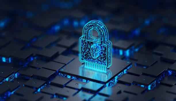 Safeguarding Your Secrets: Navigating the Data Privacy Dilemma in Online Shopping