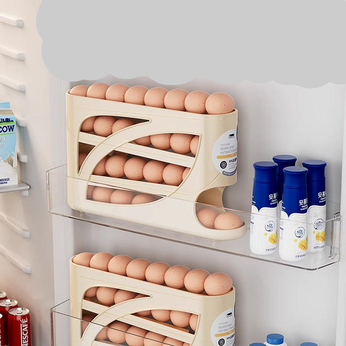 Egg holder with eggs and milk cartons on a refrigerator door