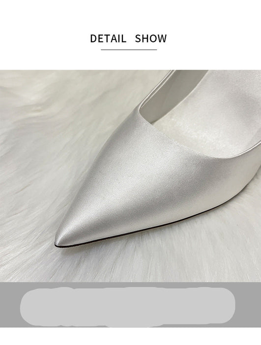 Silver high-heeled shoe with pointed toe on a light background