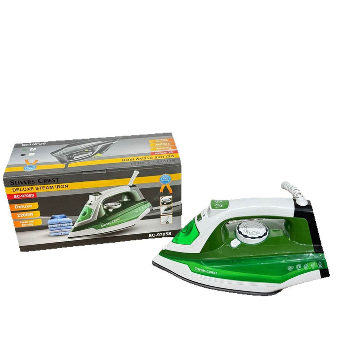 Handheld Electric Steam Iron with Ceramic Plate and Adjustable Temperature - Dio Kollections