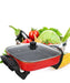 Red electric hot pot with vegetables on a white background