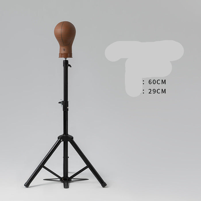 Basketball head model on a stand with dimensions displayed