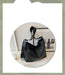 Black handbag on a white background with text overlay