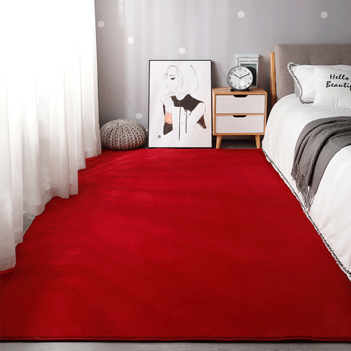 Coral Fleece Square Plush Carpet for Bedroom and Living Room - Dio Kollections